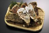 牡蛎（平性/甘味・鹹味）